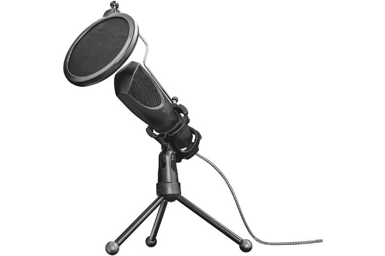 Microfone de mesa com pop filter.