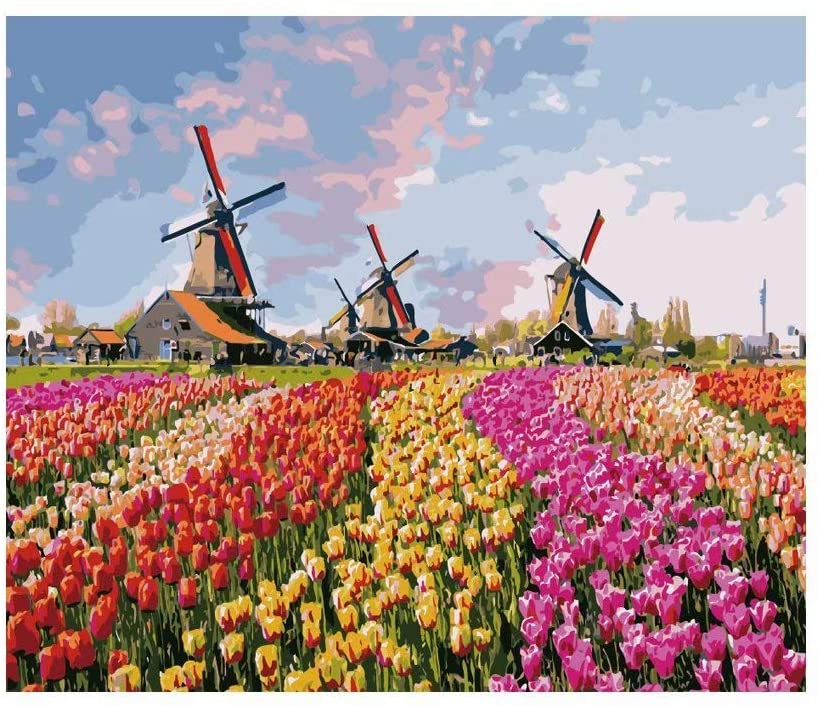 pintura por números: paisagem holandesa