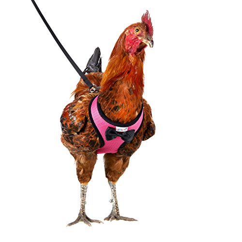Tamanho de galinha Yesito com coleira combinando de 1,8 m – ajustável, resistente, confortável, respirável, tamanho grande, adequado para frango pesando cerca de 2,4 kg, rosa