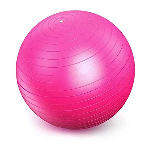 Bola Yoga Suiça Pilates Abdominal Gym Ball 65cm C/Bomba 4Fitness (65cm, Rosa)