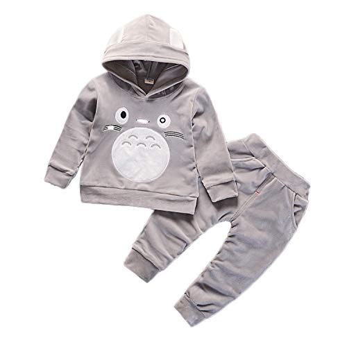 Conjunto de moletom com capuz de veludo com calça para meninos e meninas da Baby Totoro, Cinza, 80cm/6Months-1Y