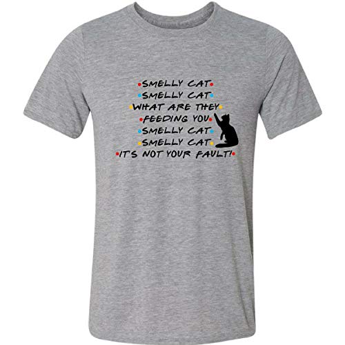 Camiseta Smelly Cat Friends Phoebe Música Série