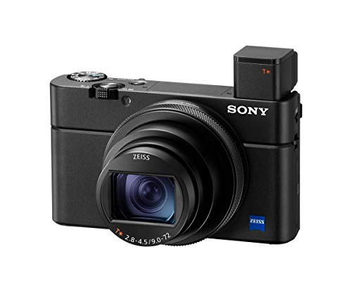 Câmera Sony RX100 VII (DSC-RX100M7G)