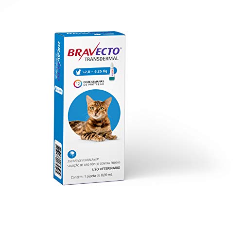 Bravecto Transdermal Gatos de 2.8 até 6.25kg Bravecto para Gatos, 2.8 a 6.25kg,