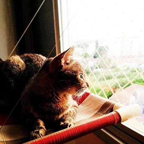 cama-de-janela-para-gatos