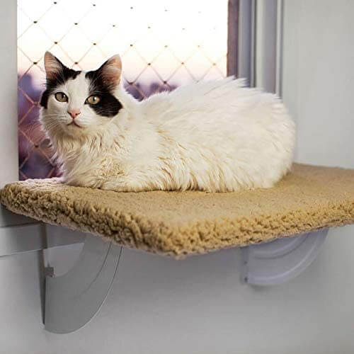 cama-de-janela-para-gatos