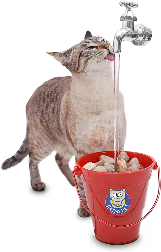 Gato bebendo água em bebedouro.