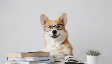 Cachorro usando óculos em cima de uma mesa cheia de livros