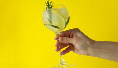 Uma mão segurando uma taça de gin tônica com limão e alecrim, em um fundo amarelo.