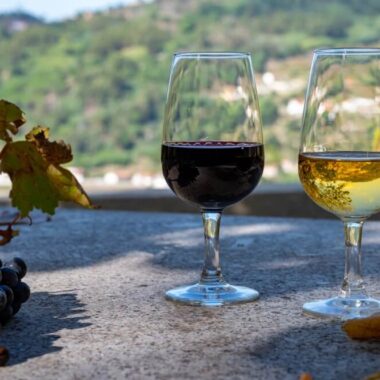 Vinhos portugueses em destaque