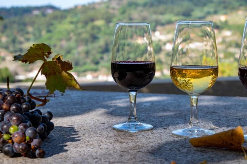 Vinhos portugueses em destaque