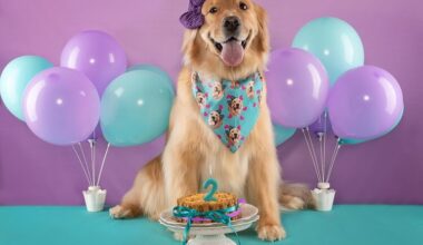 festa de aniversário de cachorro