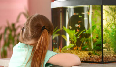 Imagem de uma menina observando um aquário.