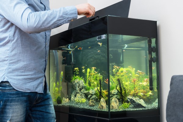 Homem faz manutenção em aquário para peixe de vidro.